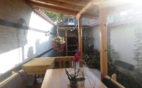 Rose Valley Guest House